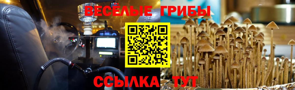 Майский  Псилоцибиновые грибы Magic Shrooms  Вход с VPN 